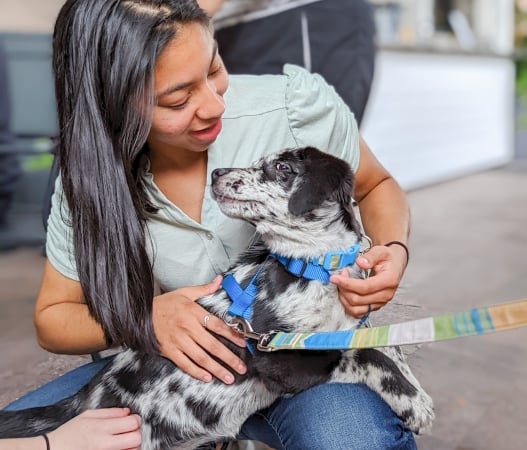 Yappy Hour on the Plaza 3