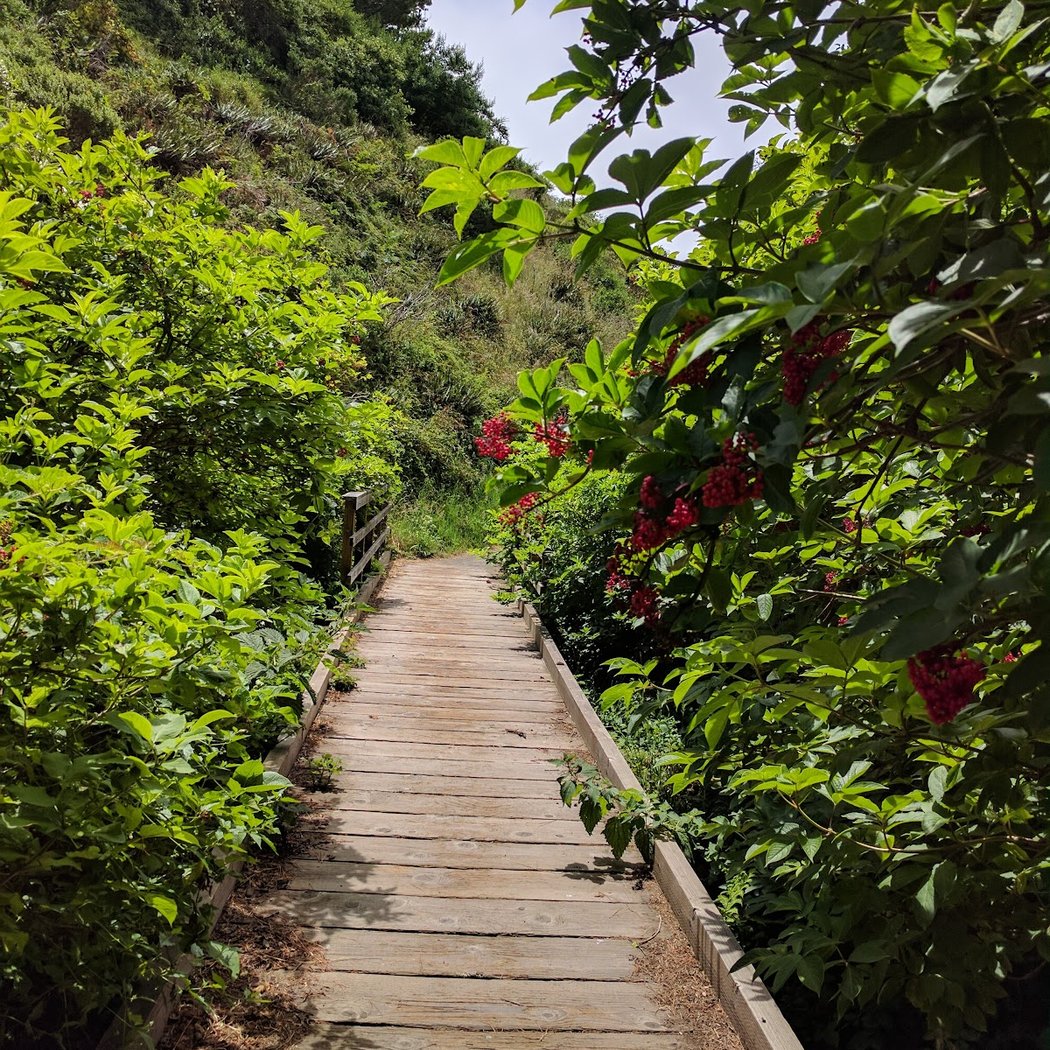 Muddy Hollow Trail 2