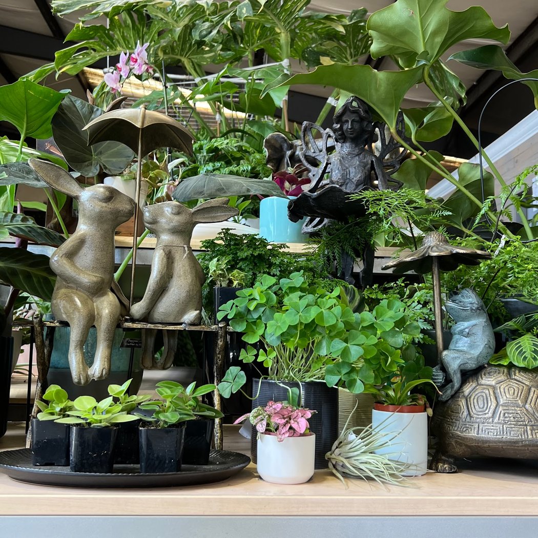Evergreen Nursery 1