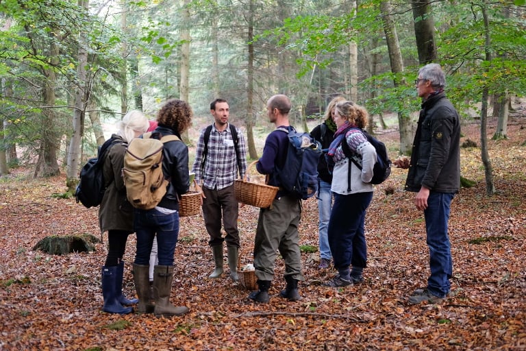 Community Science: Fungi 2
