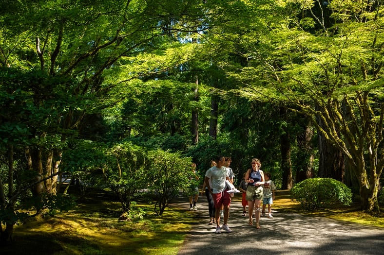 Discover Forest Bathing 3
