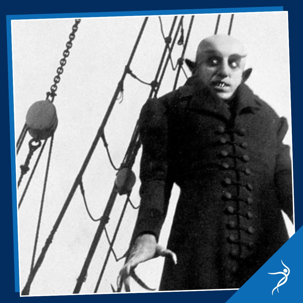 Nosferatu: A Symphony of Horror (1922) 1