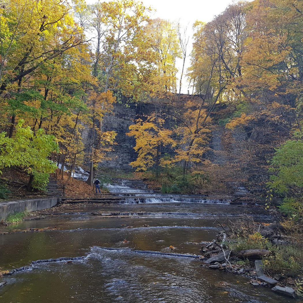 Cascadilla Gorge Trail 4