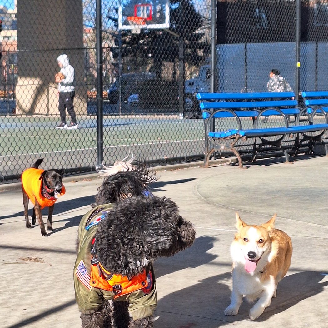 Triborough Bridge Playground D 1