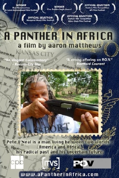 A PANTHER IN AFRICA