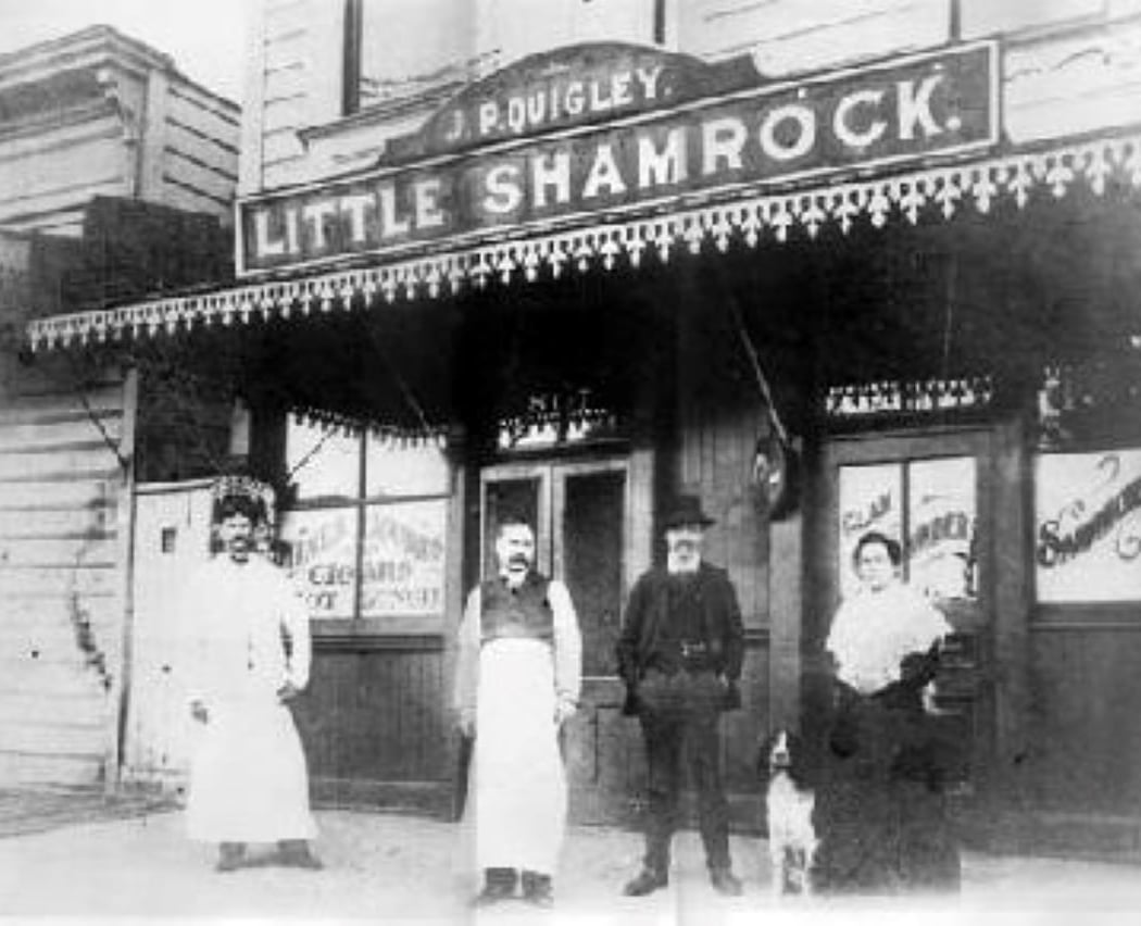 Little Shamrock 3