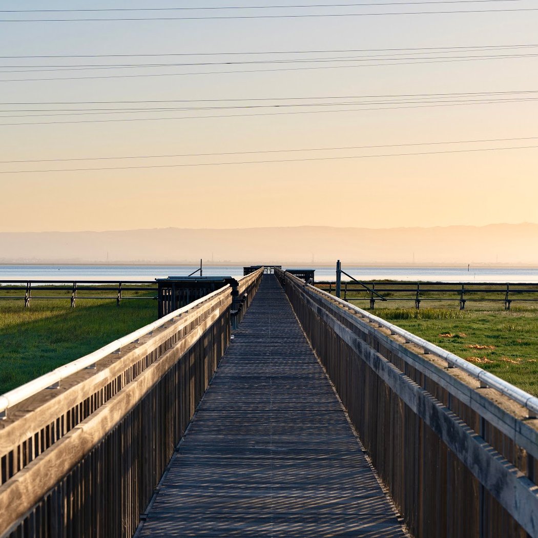 Baylands Observation Deck and Boardwalk 1