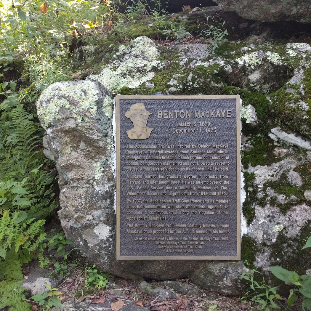Springer Mountain 5