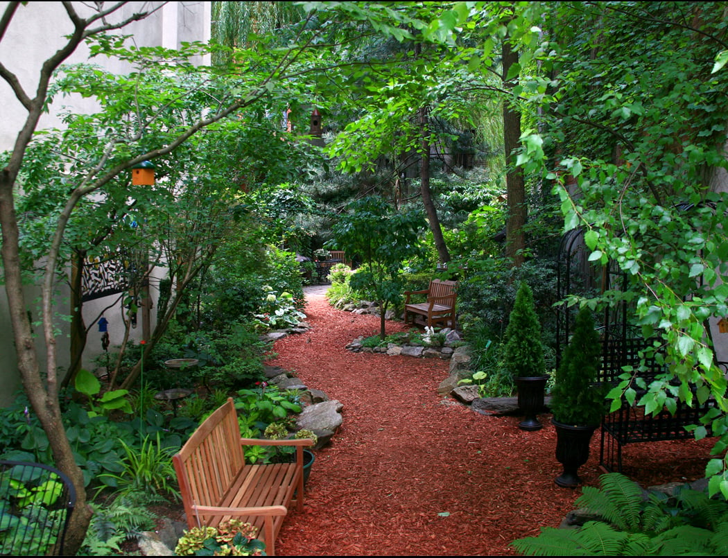 Creative Little Garden 1