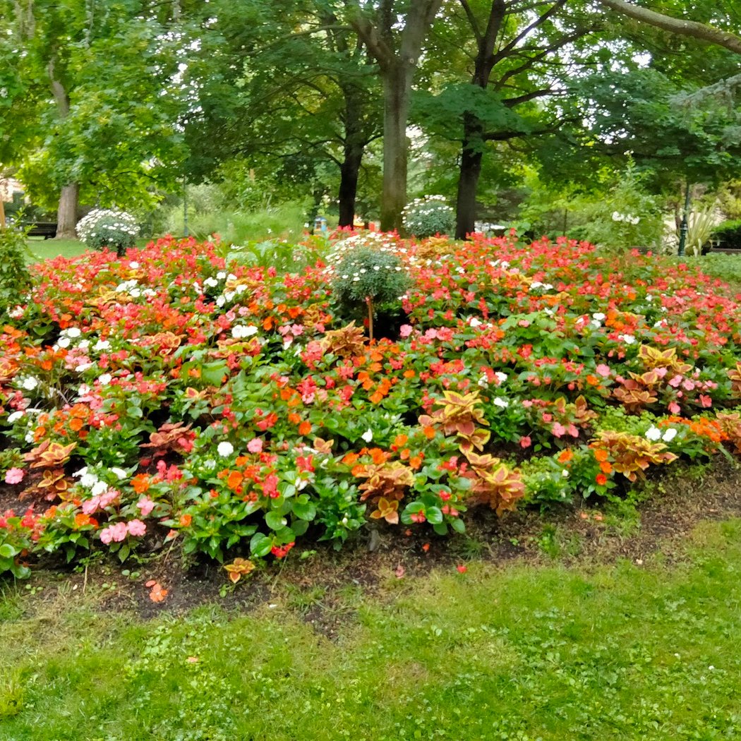 Parc du Docteur Roy 1