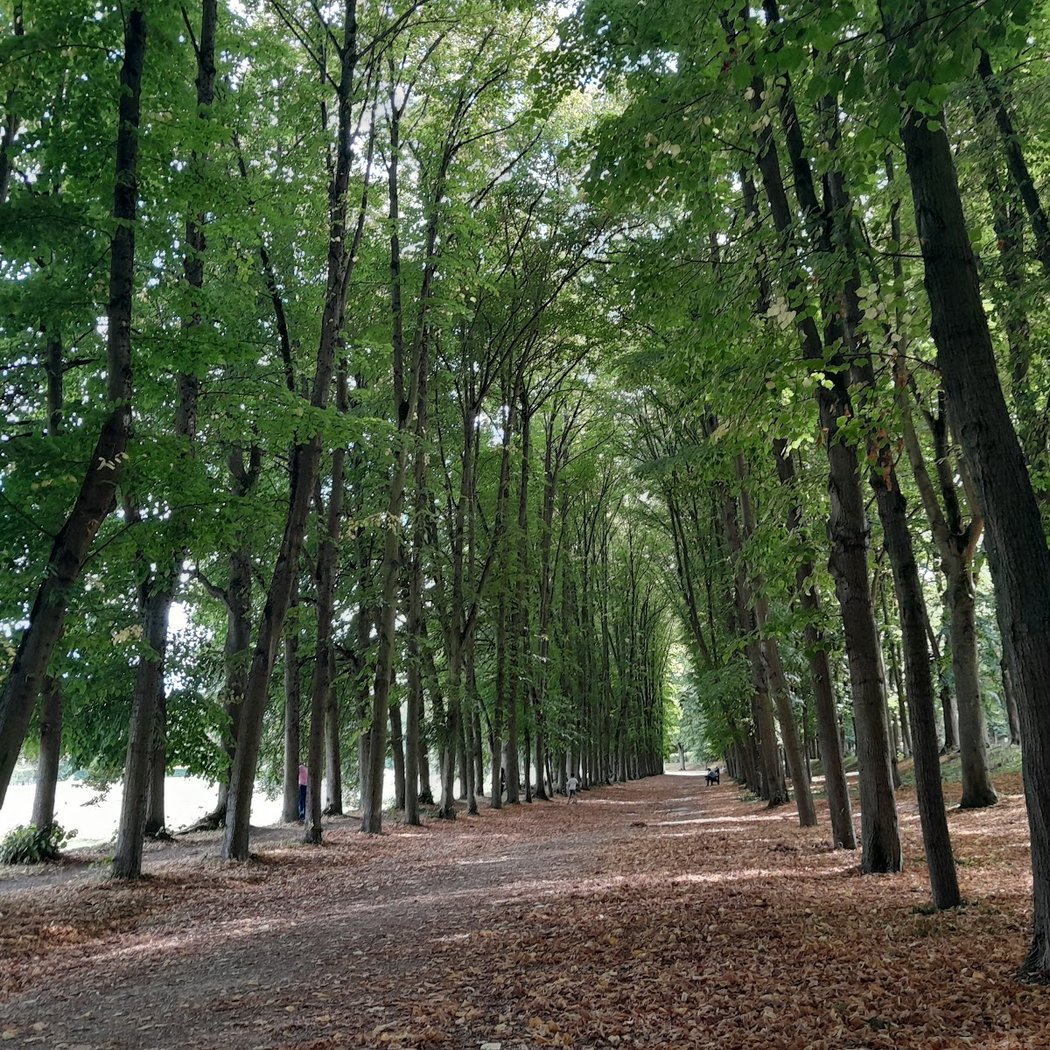 Parc Royal de Marly-le-Roi 2