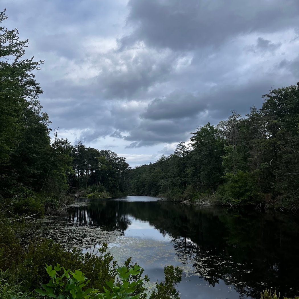 Canopus Lake 3