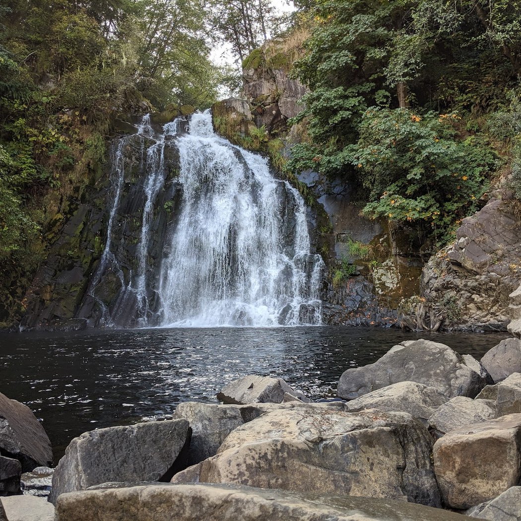 Young's River Falls Park - Astoria Parks & Recreation 2