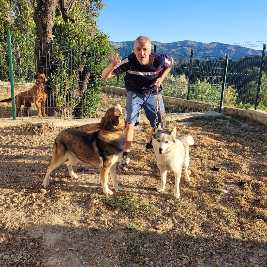 keepdog pension canine 1