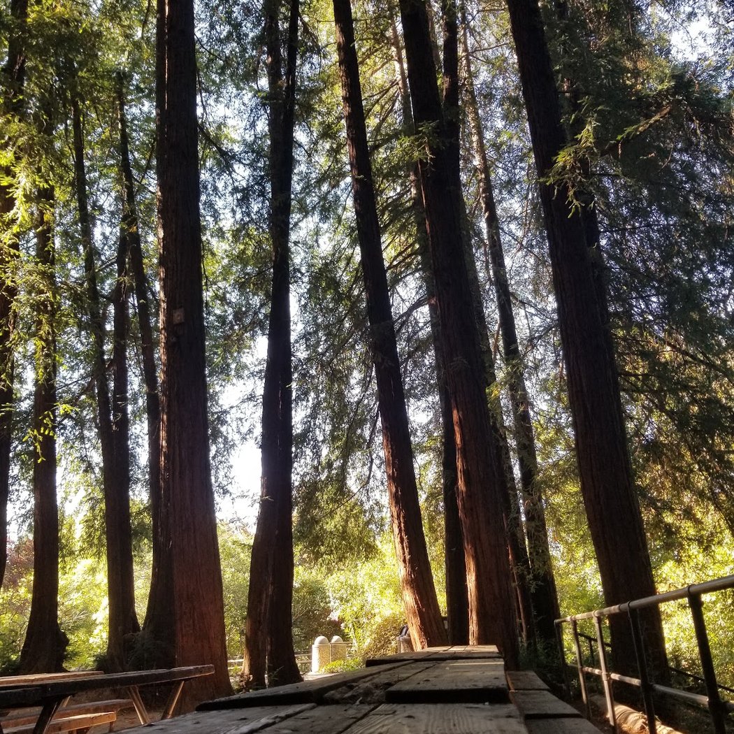 Gerstle Park 1
