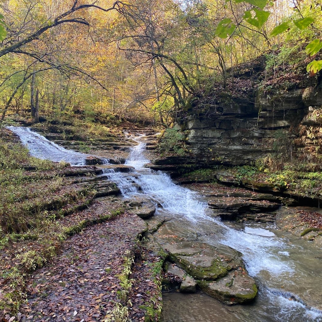 Raven Run Volunteer Morning
