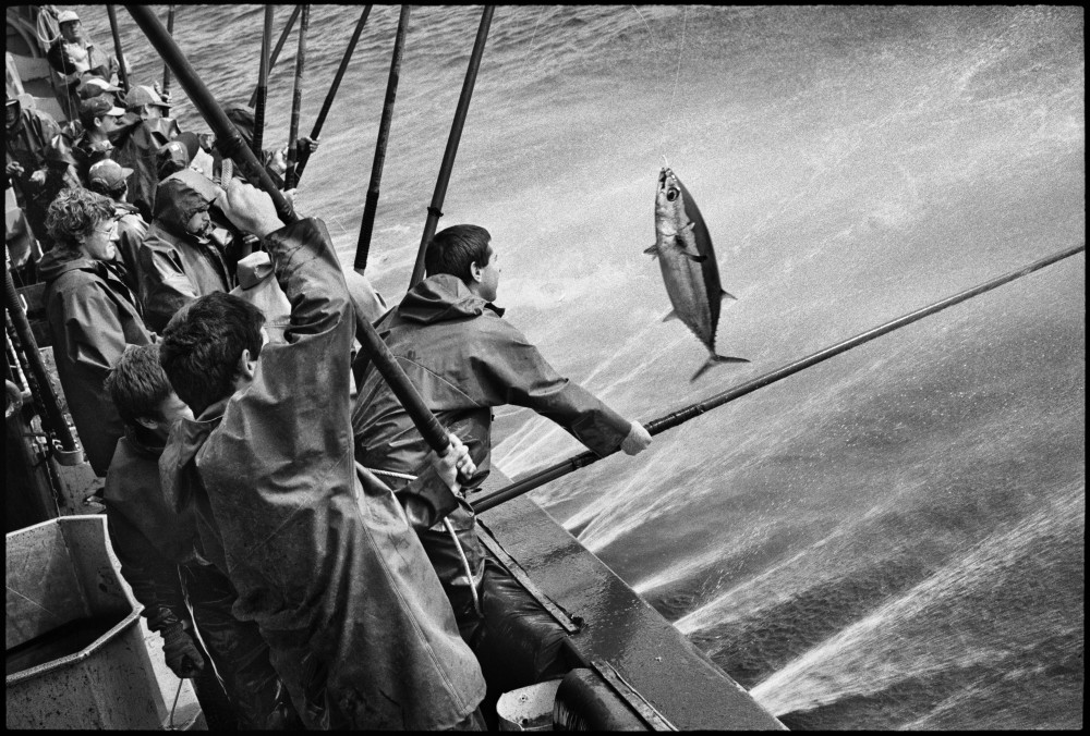 Jean Gaumy et la mer 1