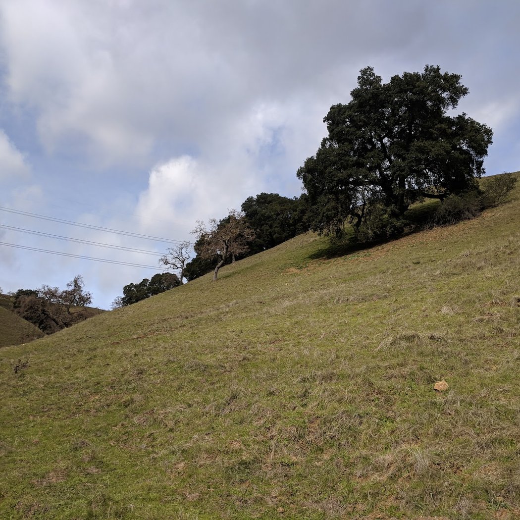 Golden Hills Park 2