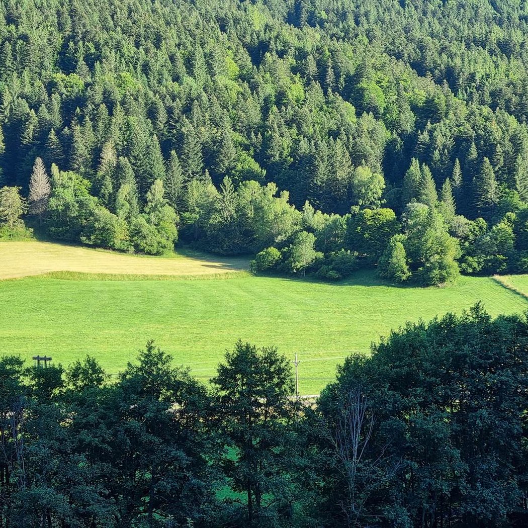 Au coeur du Volcantal 2