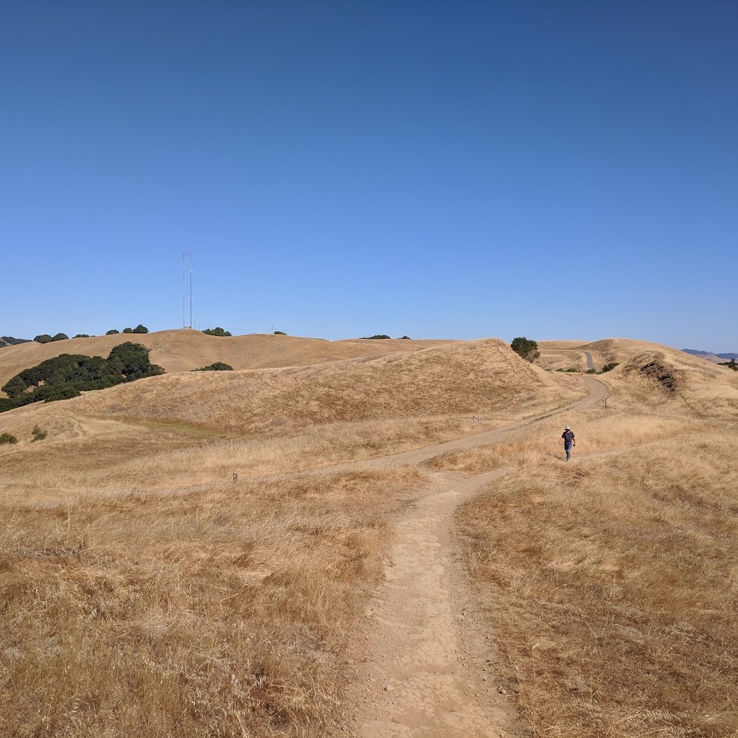 Pleasanton Ridge 3