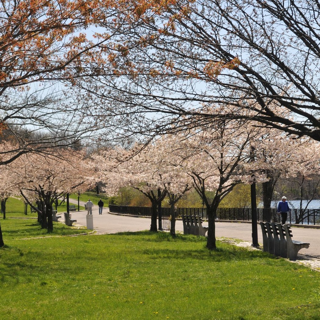 Silver Lake Park 1
