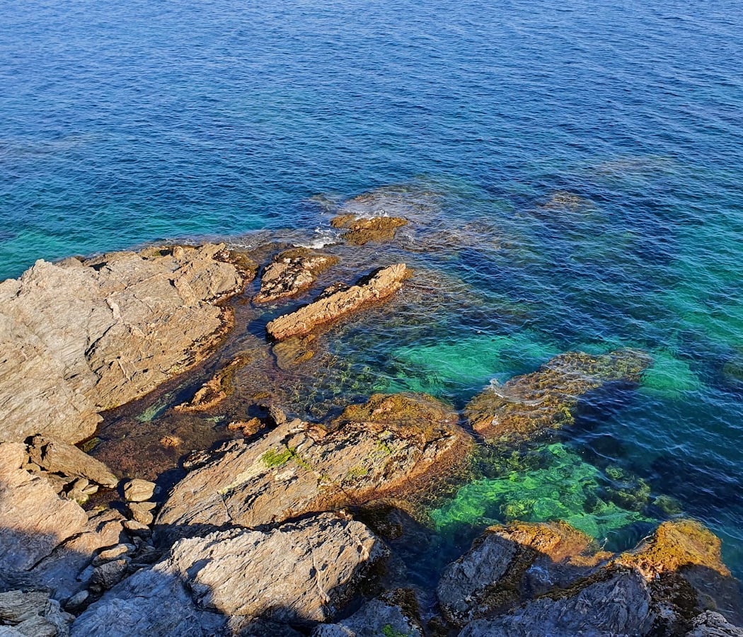 Île des Embiez 3