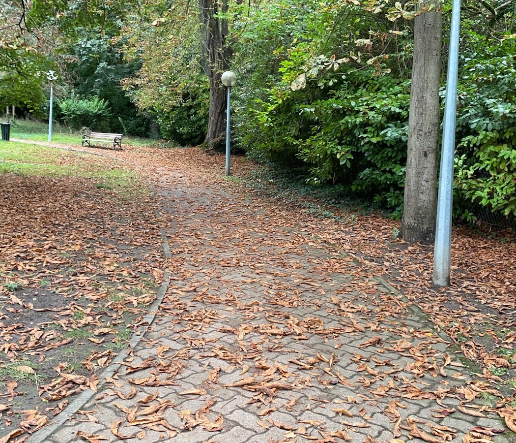 Parc Marie Bonaparte 2
