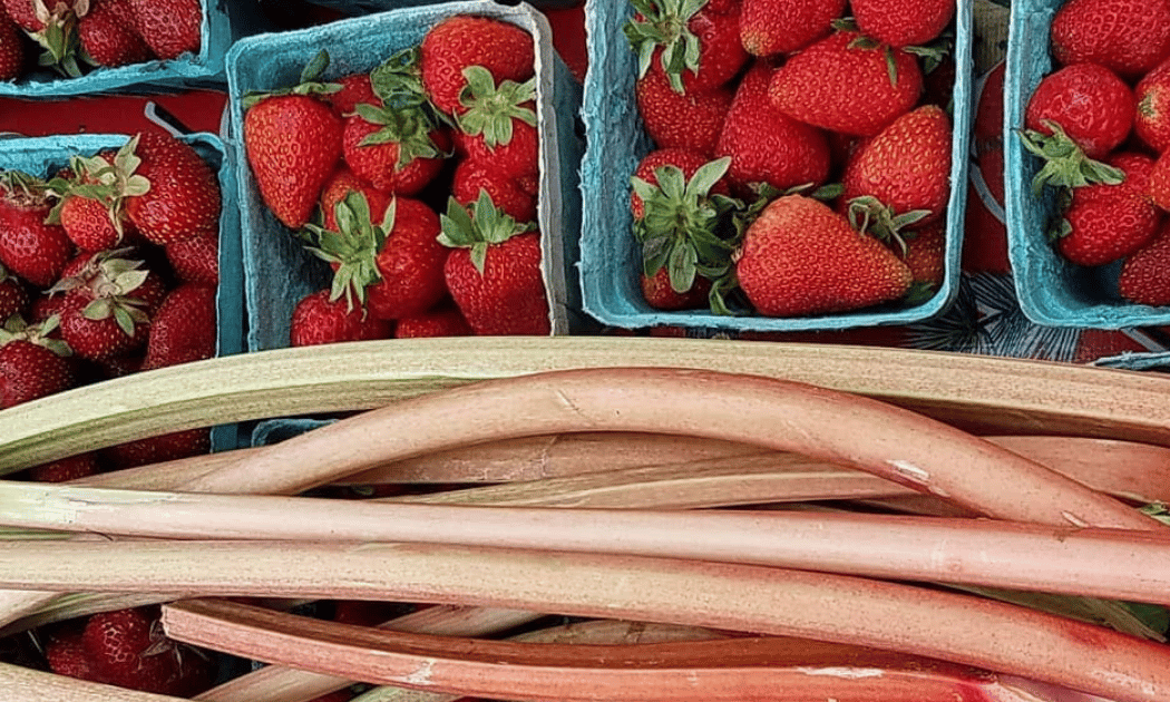 57th Street Greenmarket 1