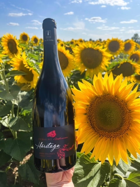 BODINEAU Coteaux du Layon Producer FIELD 1