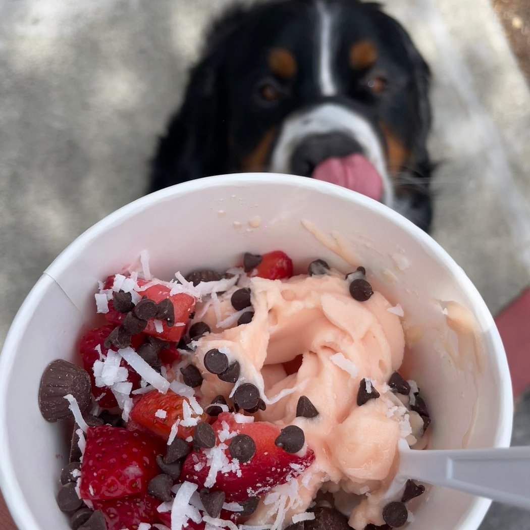 Rainbow FroYo 1