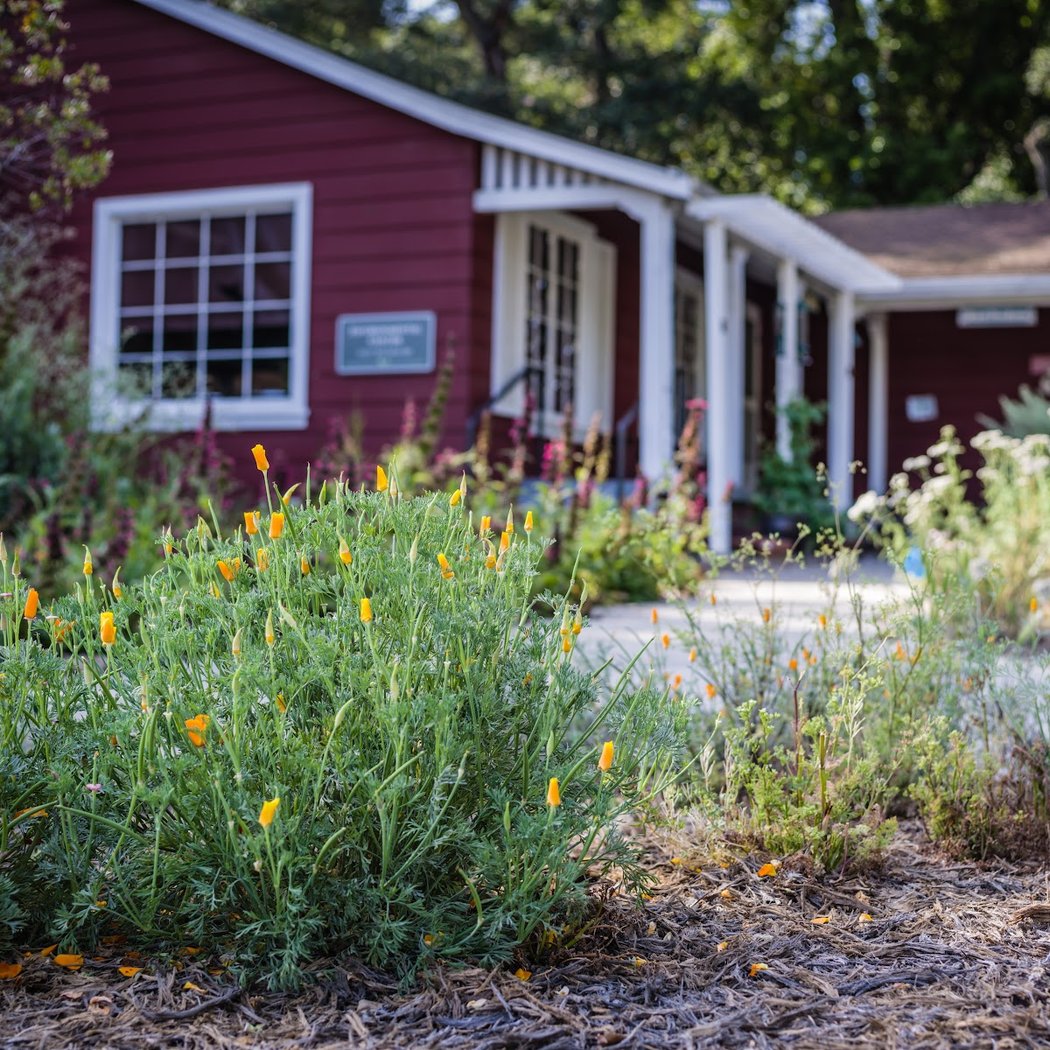 Restoration and Birding at McClellan Ranch 3