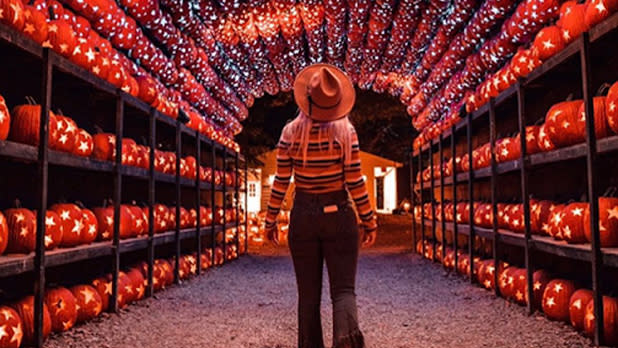 The Great Jack O’Lantern Blaze: Hudson Valley 2