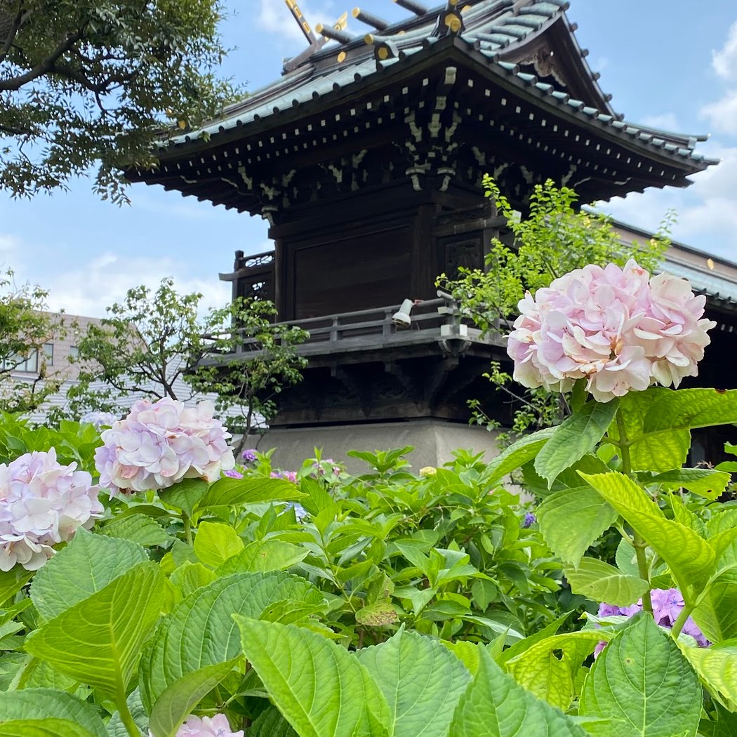 Bunkyo Hydrangea Festival 2