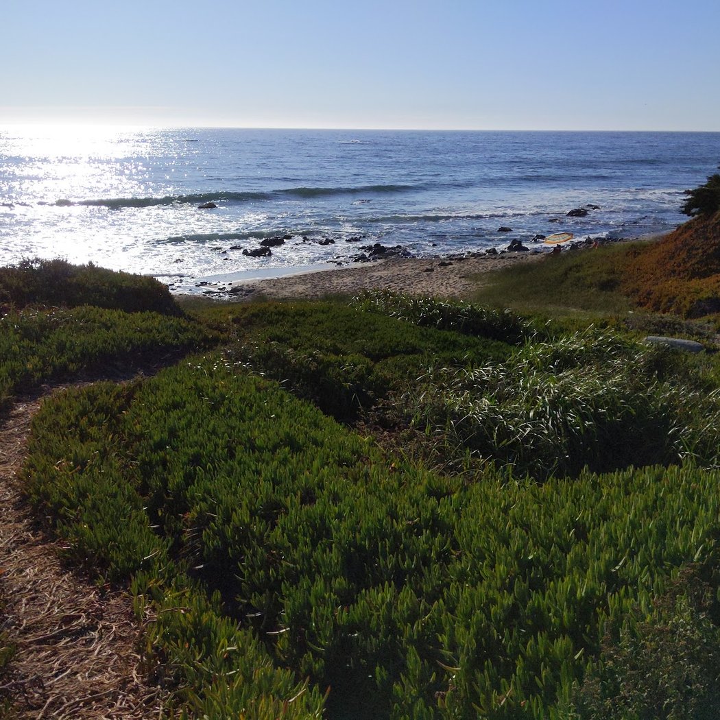 Pescadero Point Beach 2