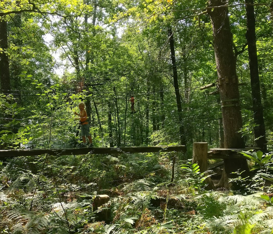 Nature Adventure 3