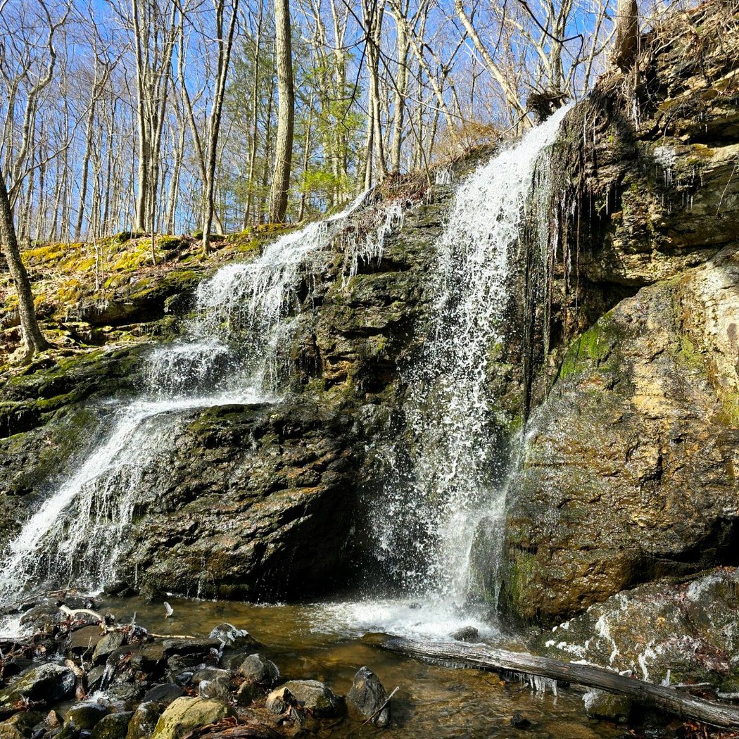 Blackledge Falls 1