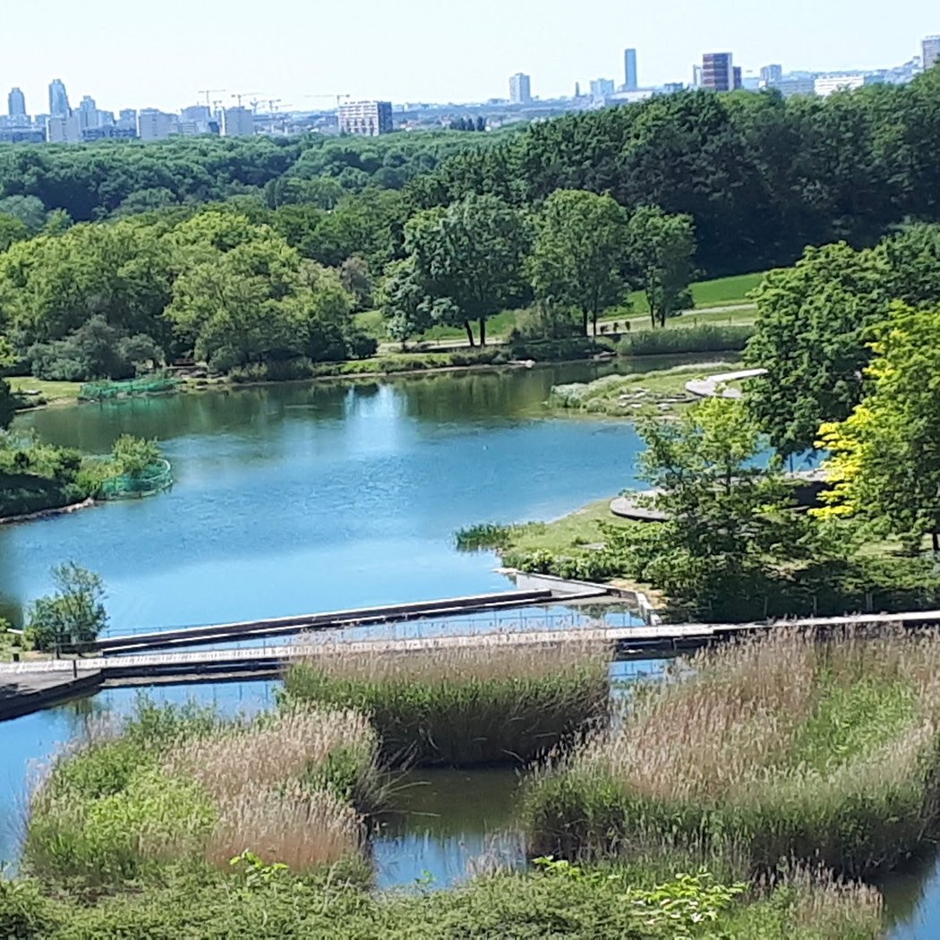Bel Été Solidaire 2025 3