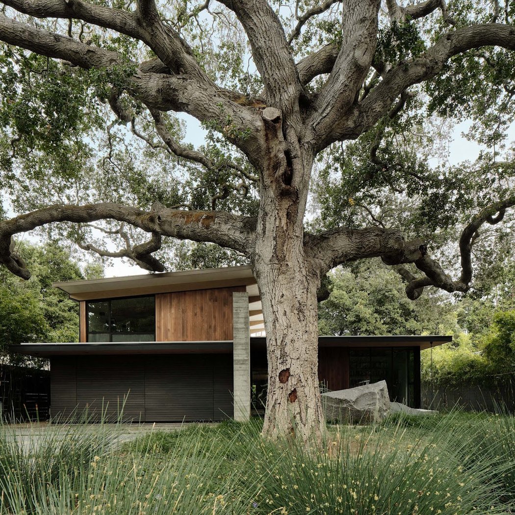 Feldman Architecture 2