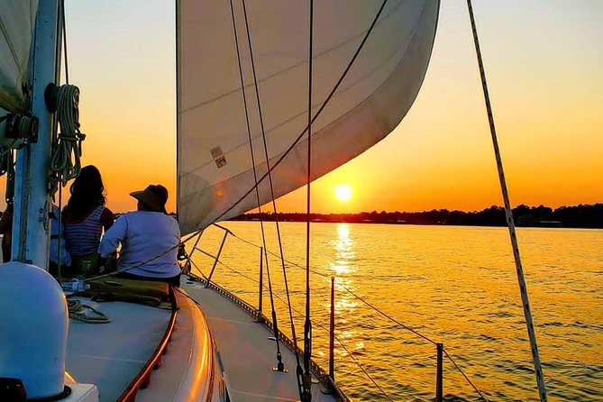 Sunset Dolphin & Wildlife Sail 1