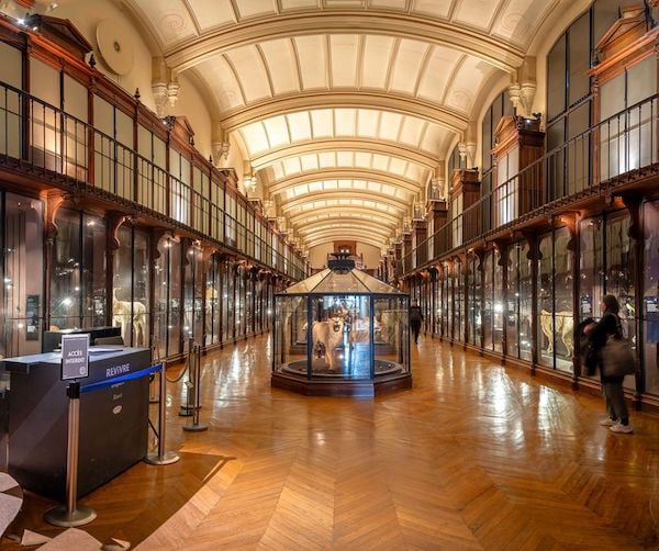 Voyage Extraordinaire à la Grande Galerie de l’Evolution 2