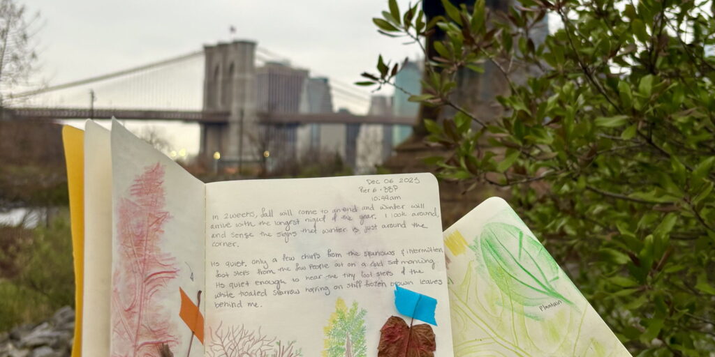 Nature Journaling: Winter Phenology 1