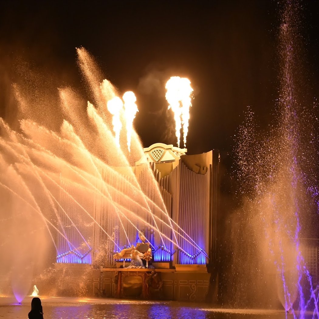 The Organs of Fire 1