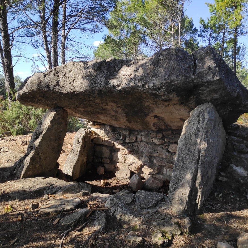 Dolmens des Adrets 1