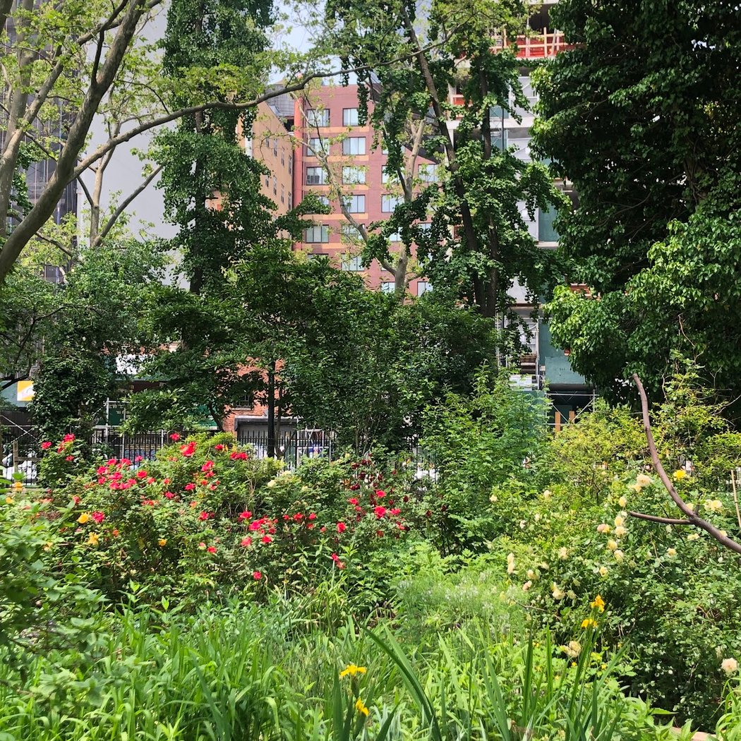 M’Finda Kalunga Garden 4