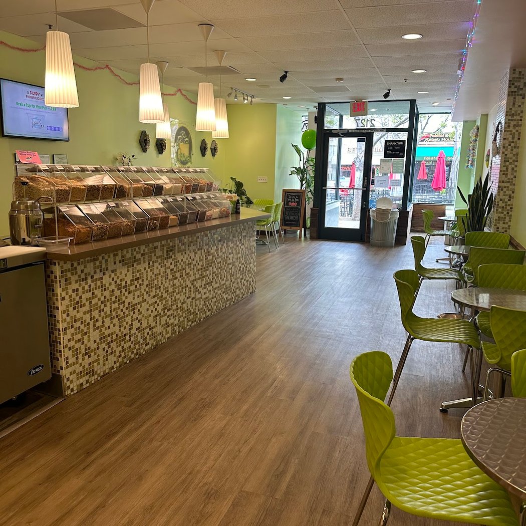 1st Treat Yogurt 2