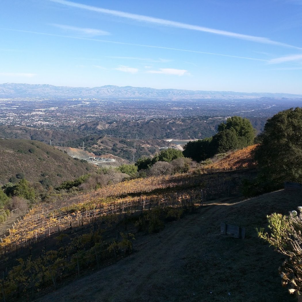 Naumann Vineyards 2