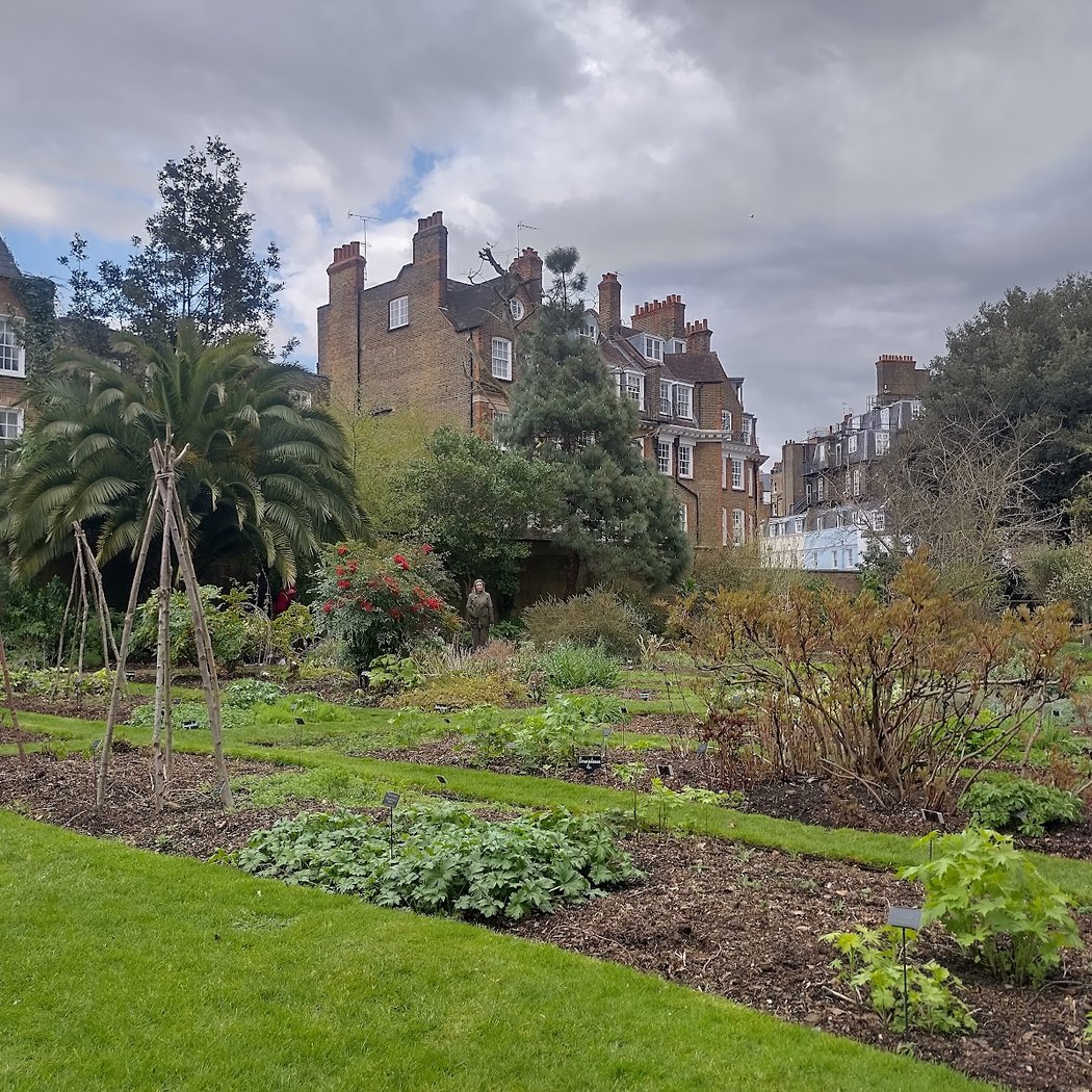 Chelsea Physic Garden 4
