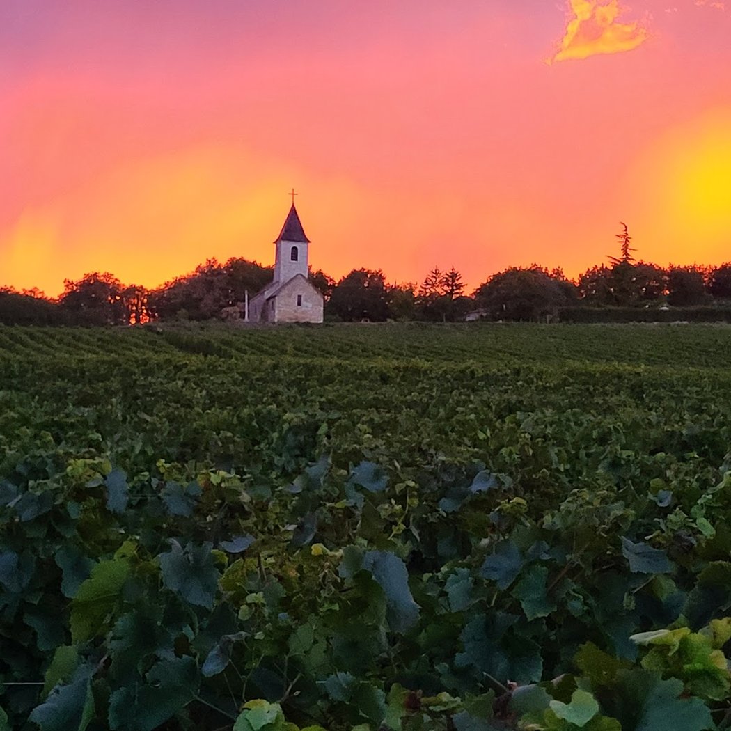 Atelier-Dégustation du 16 octobre 2025 : La noblesse du Chenin 1