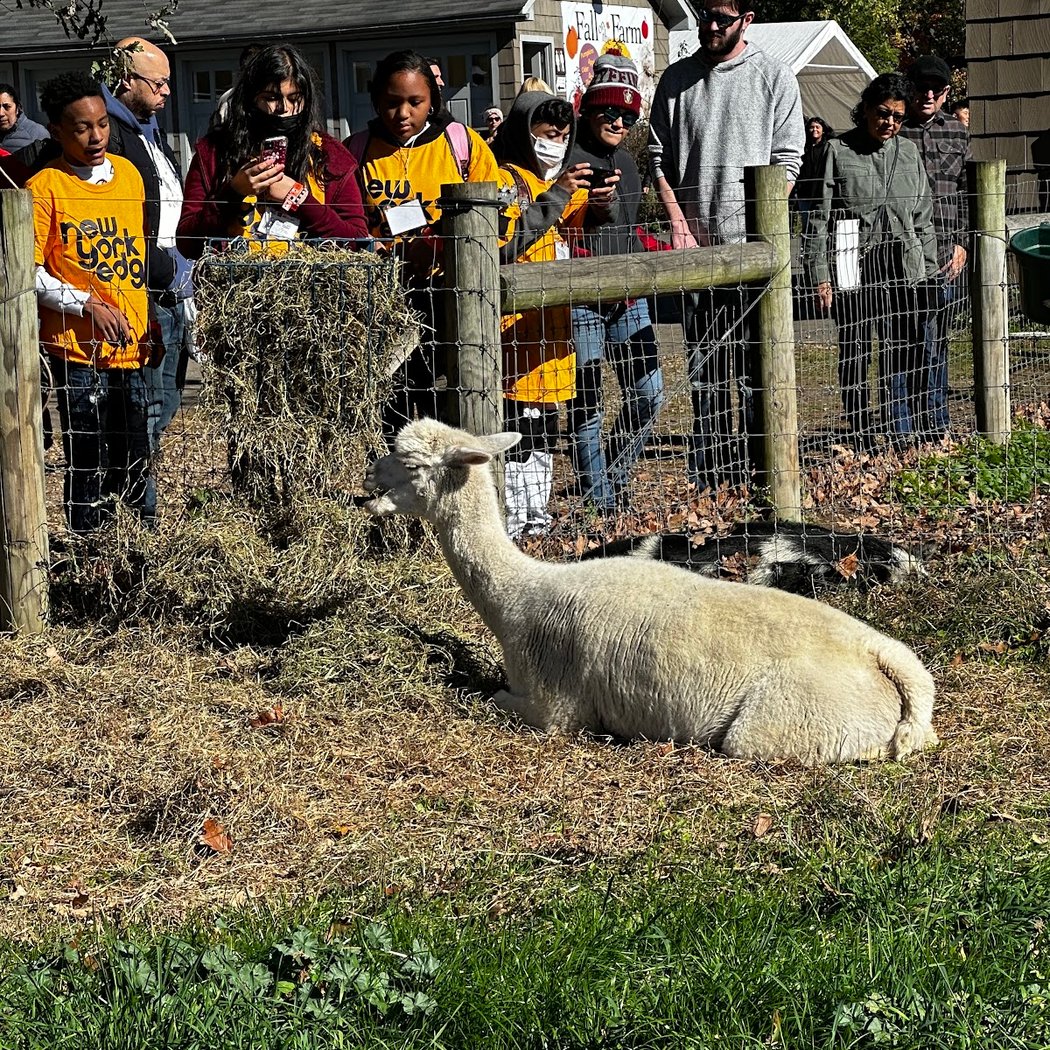 Queens Agricultural Fair 5
