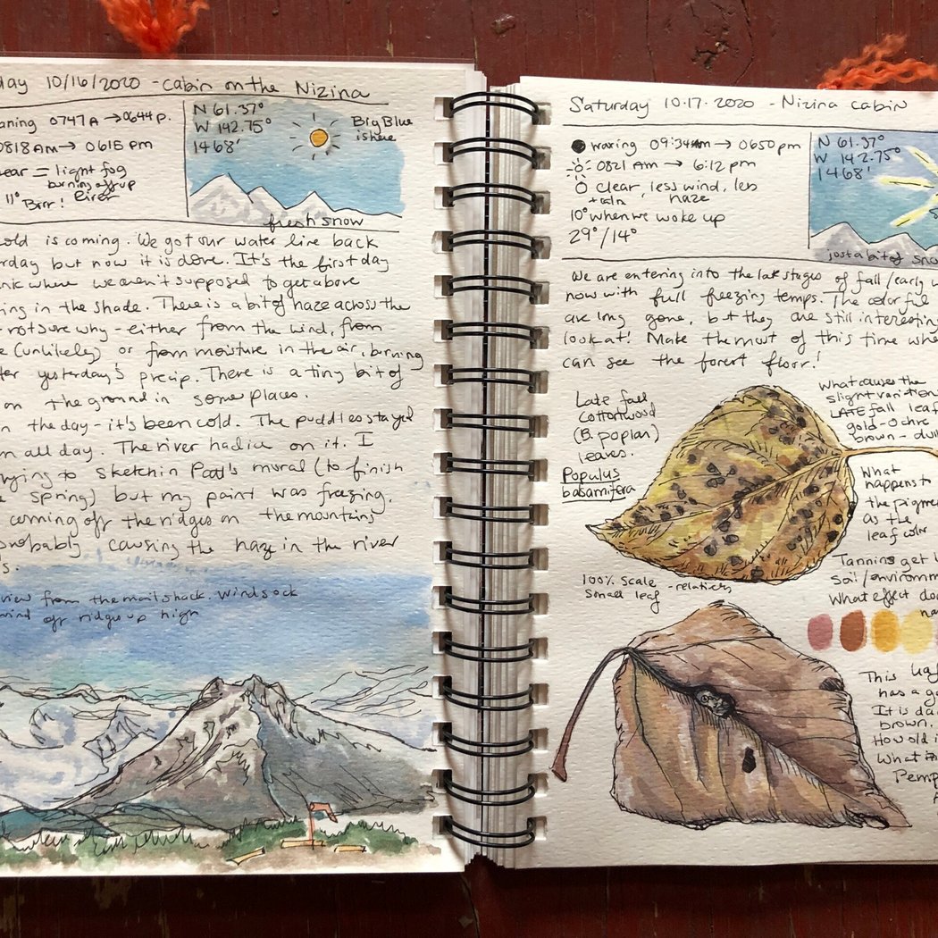 Nature Journaling 2